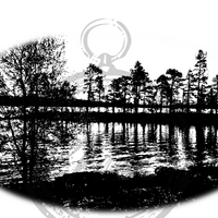 Vilda Stamps: Skog Silhouette - leimasin