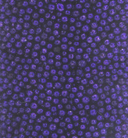 Caviar Beads: Purple 0,8 - 1 mm/ 22 g