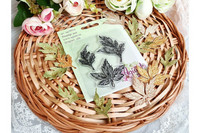 Agiart: Camomilla & Anemone Leaves  -leimasinsetti