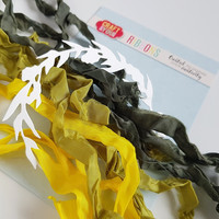 Craft & You: Vintage Ribbons 10  -nauhapakkaus