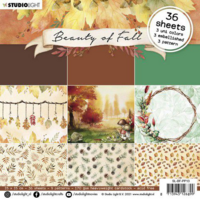 Studio Light: Beauty of Fall #13  -paperilehtiö