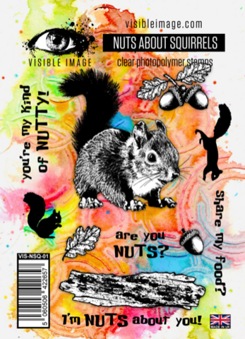 Visible Image: Nuts About Squirrels A6 -leimasinsetti