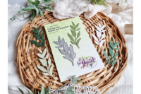 Agiart: Laurel (laakeri)  - stanssi