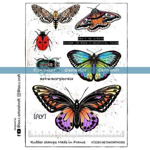 Katzelkraft: Metamorphosis A5 - unmounted leimasinsetti