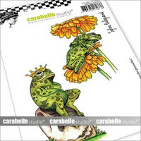 Carabelle Studio: The kingdom of frogs by Sylvie Belgrand