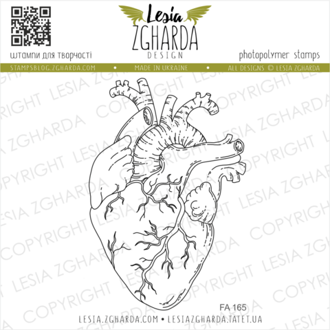 Lesia Zgharda Design: Human Heart Contour - leimasin