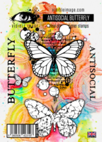 Visible Image: Antisocial Butterfly - leimasinsetti