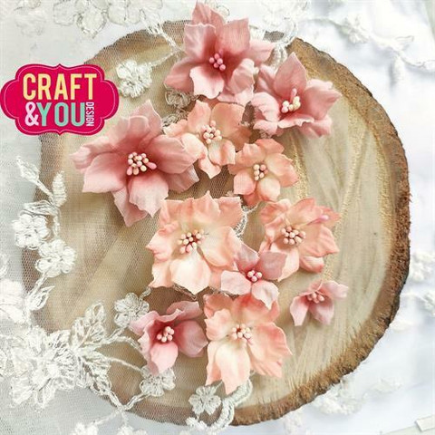 Craft & You: Hydrangea 2  - stanssisetti