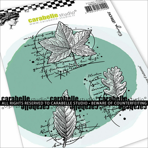 Carabelle Studio: Bontanique d’Automne by Edwige Verriere