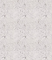 CC Decoupage Paper: White Crack Texture