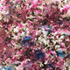 Infusions Dye: Raspberry