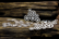 SnipArt: Industrial Factory - Cogs Background - leikekuviopakkaus