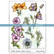 Katzelkraft: Floralies A5 - unmounted leimasinsetti
