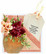 Spellbinders: Gladiolus and Berry Picking Basket  - stanssisetti