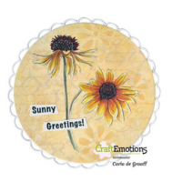 Joy Crafts: Daisies - leimasinsetti