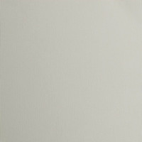 VC Glitter & Cardstock: Silver/ Mouse A4/ 10 arkkia