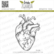 Lesia Zgharda Design: Human Heart - leimasin