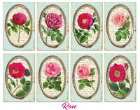 Decorer: Rose - minipaperisetti