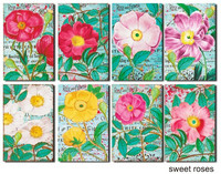 Decorer: Sweet Roses - minipaperisetti