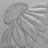 CC Gemini: Enchanting Echinacea 3D - kohokuviointikansio