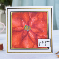 CC Gemini: Precious Poinsettia 3D - kohokuviointikansio