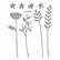 Spellbinders: Sealed Wildflowers  - stanssisetti