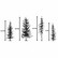 NC Pine Trees - leimasinsetti