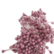 Paper Design Margaret: Heteet 170 kpl - Pearlecent Mauve