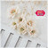 Craft & You: Apple Blossom   -stanssisetti