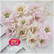 Craft & You: Apple Blossom   -stanssisetti