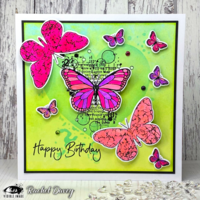Visible Image: Antisocial Butterfly -stanssisetti