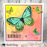 Visible Image: Butterfly Effect  -stanssisetti