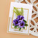 Spellbinders: Pansy - stanssisetti