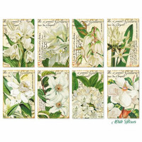 Decorer: White Flower - minipaperisetti