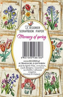 Decorer: Memory of Spring  - minipaperisetti