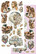 AA Extras to Cut: Dreamcatcher  6x12 - paperisetti