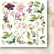 Paper Heaven: Like a Breath - Flowers  6 X 6 - paperikokoelma