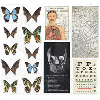Tim Holtz Idea-ology:  Transparencies Halloween 2021
