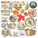 Ciao Bella: Fussy Cut Vellum set 6x6  - Into the Wild