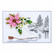 Spellbinders: Ice Skate - stanssi
