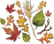 Sizzix Thinlits: Fall Foliage  -stanssisetti