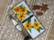 Spellbinders: Black Eyed Susan - stanssisetti