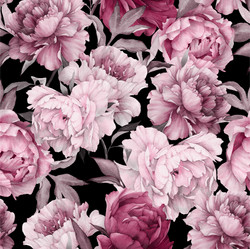Watercolor peonies, old rose, trikoo