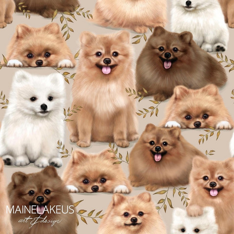Mainelakeus: Pomeranian, trikoo