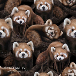 Mainelakeus: Pikkupandat, trikoo