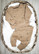 Teddybears, kameli, joustocollege *Käyttöleveys n. 180 cm*