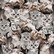 Mainelakeus: Baby Paws, trikoo (isompi kuvion koko)