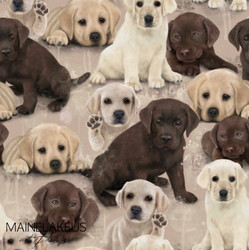 Mainelakeus: Labradorit, trikoo