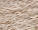Double gauze/harsokangas, zebra, vanilla-brown