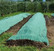 Kompostipeite kotipuutarhureille, Koko 1,5 x 1,5 m